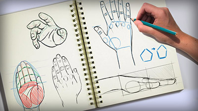 Digital Tutors – Methods for Drawing the Human Hand - طراحی دیجیتالی دست انسان در فتوشاپ
