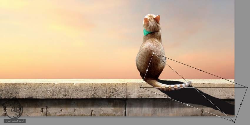 آموزش Photoshop : ویرایش تصویر گربه و ماهی های پرنده – قسمت اول