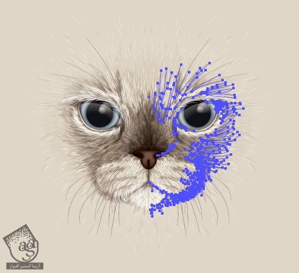 طراحی صورت گربه با Illustrator