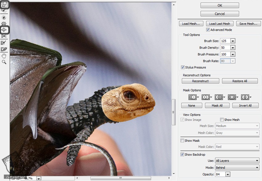 آموزش Photoshop : طراحی بچه اژدها از طریق دستکاری تصاویر – قسمت اول