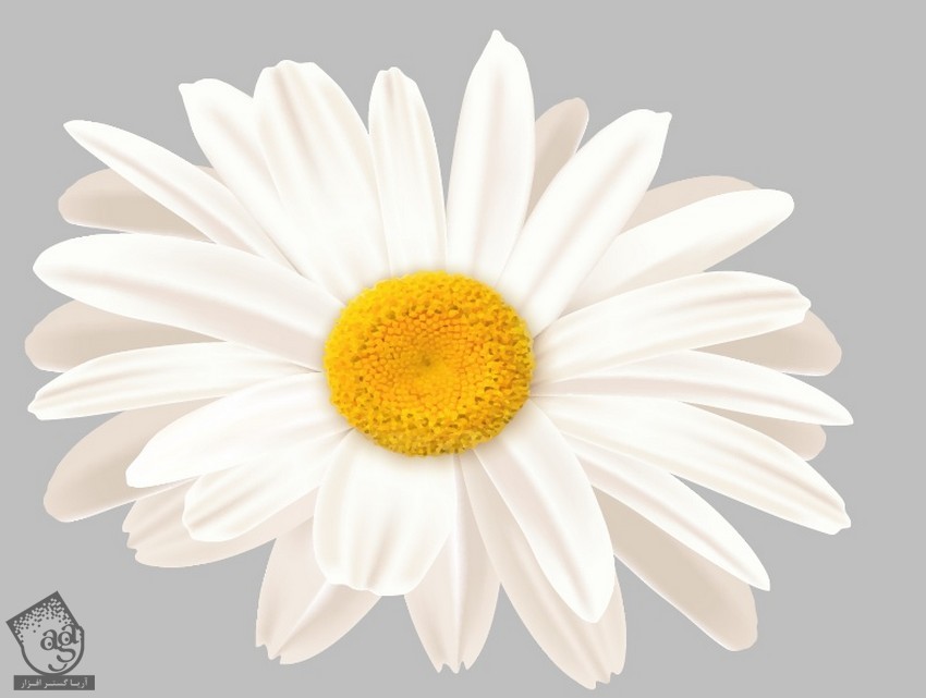 آموزش Illustrator : طراحی طبیعت همراه با گل قاصدک و پروانه – قسمت دوم