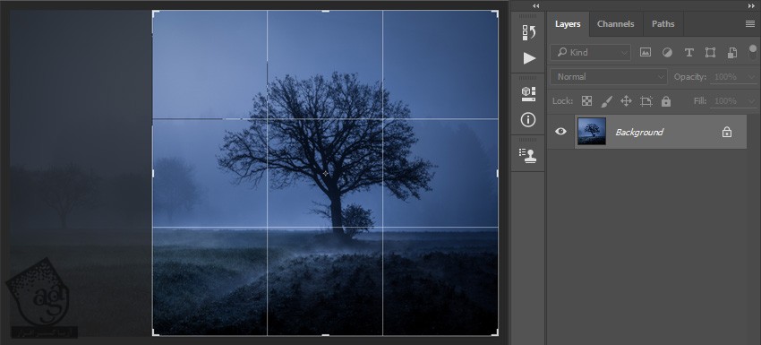 آموزش Photoshop : اضافه کردن نور به درخت