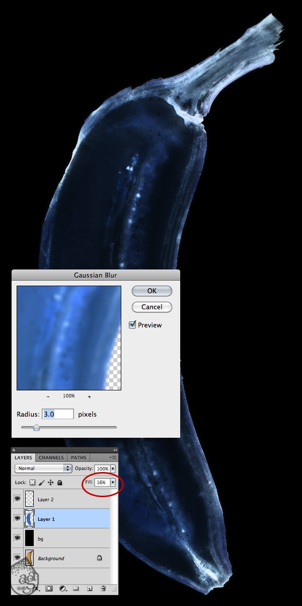 آموزش Photoshop : شبیه سازی تصویر اشعه ایکس