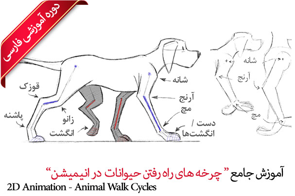 آموزش انیمیشن سازی دو بعدی - آموزش حالات کاراکتر در چرخه های راه رفتن