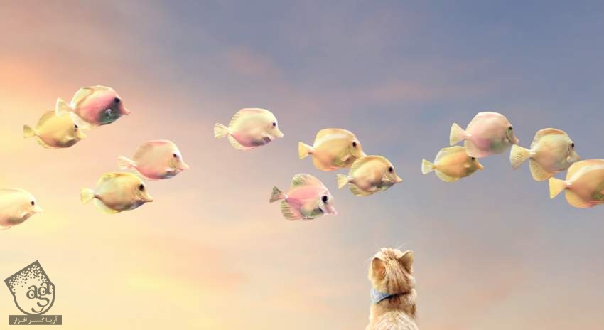 آموزش Photoshop : ویرایش تصویر گربه و ماهی های پرنده – قسمت دوم