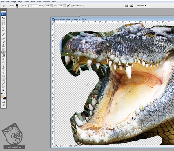 آموزش Photoshop : ترکیب کروکودیل و قورباغه