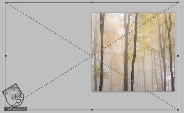 آموزش Photoshop : طراحی تصویر پاییز رویایی با ویرایش تصویر – قسمت اول