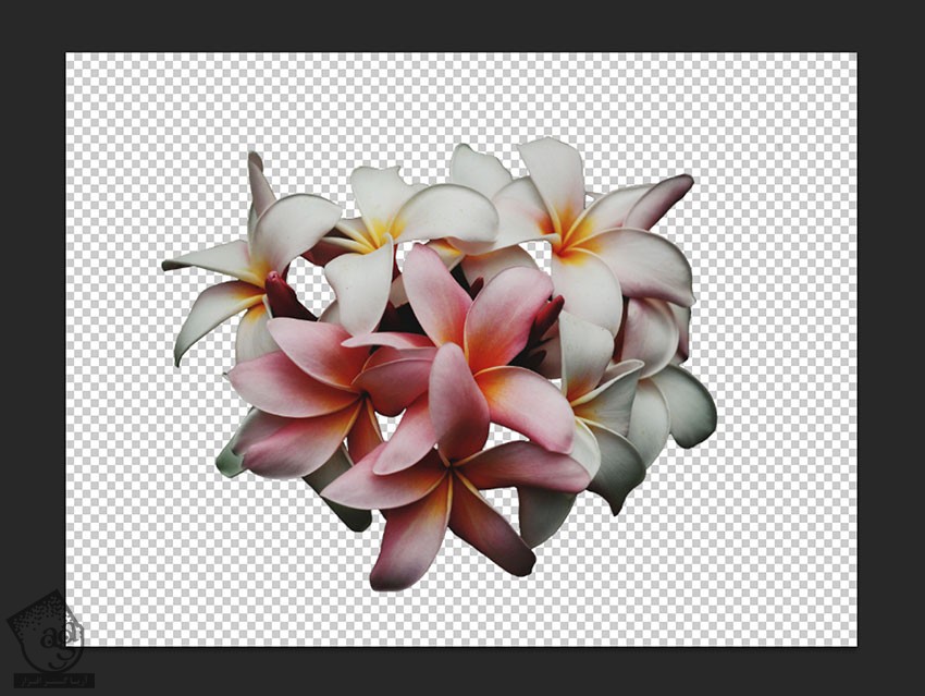 آموزش Photoshop : طراحی پوستر گلدار
