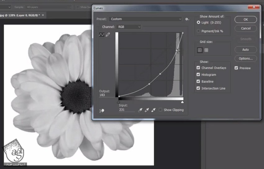 آموزش Photoshop : نحوه ایجاد قلموهای Flower