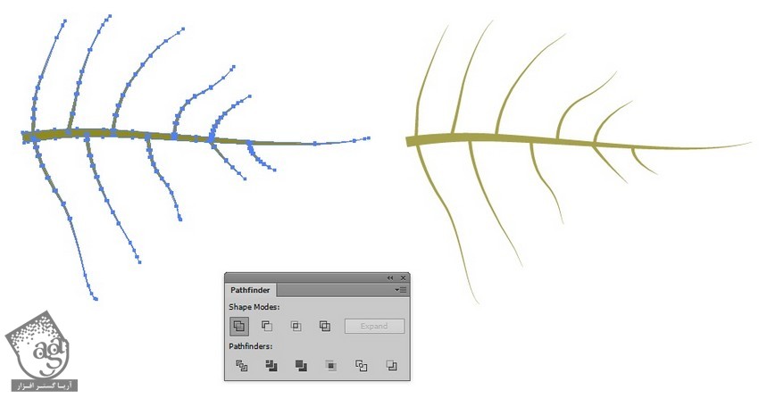 آموزش Illustrator : طراحی حلقه گل های استوایی