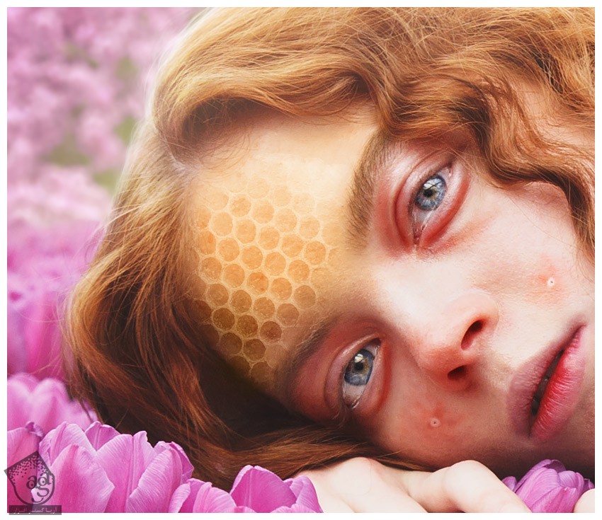 آموزش Photoshop : طراحی تم کندوی زنبور عسل – قسمت دوم