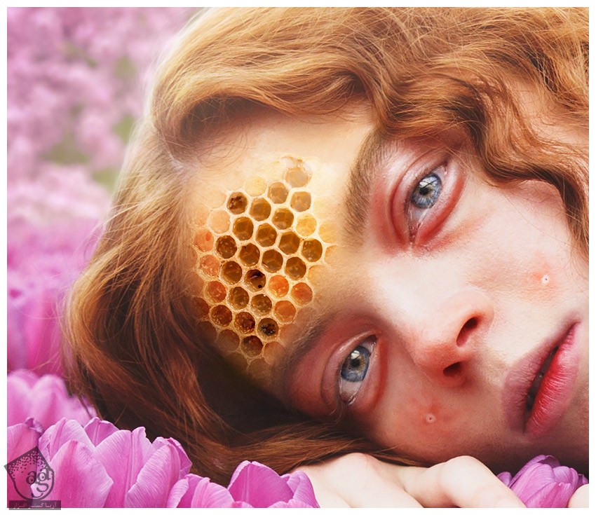 آموزش Photoshop : طراحی تم کندوی زنبور عسل – قسمت دوم