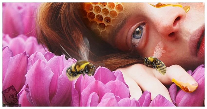 آموزش Photoshop : طراحی تم کندوی زنبور عسل – قسمت چهارم