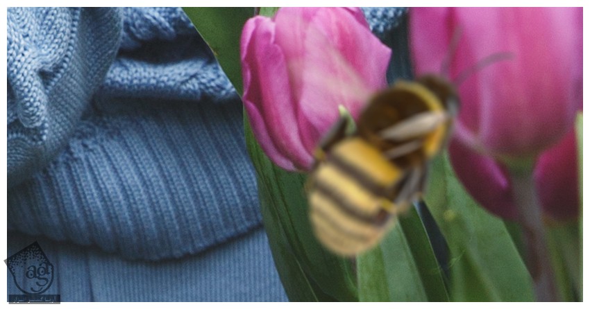 آموزش Photoshop : طراحی تم کندوی زنبور عسل – قسمت چهارم