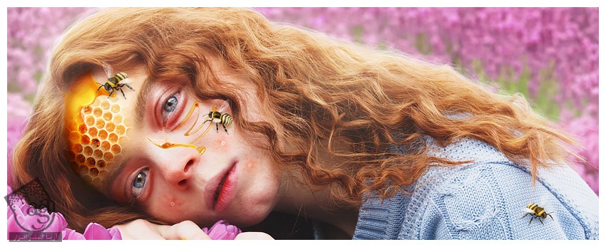 آموزش Photoshop : طراحی تم کندوی زنبور عسل – قسمت سوم