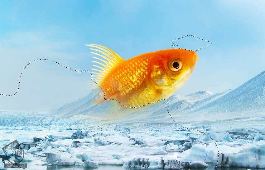 آموزش Photoshop : تصویرسازی ماهی منجمد