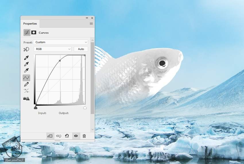 آموزش Photoshop : تصویرسازی ماهی منجمد