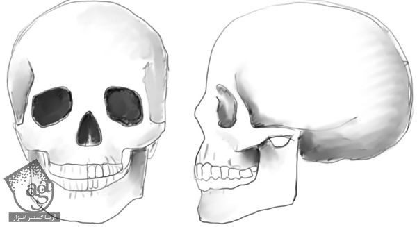 آموزش Blender : طراحی Low Poly جمجمه