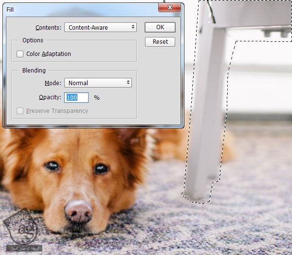 آموزش Photoshop : افکت تصویری نقاشی سگ – قسمت اول