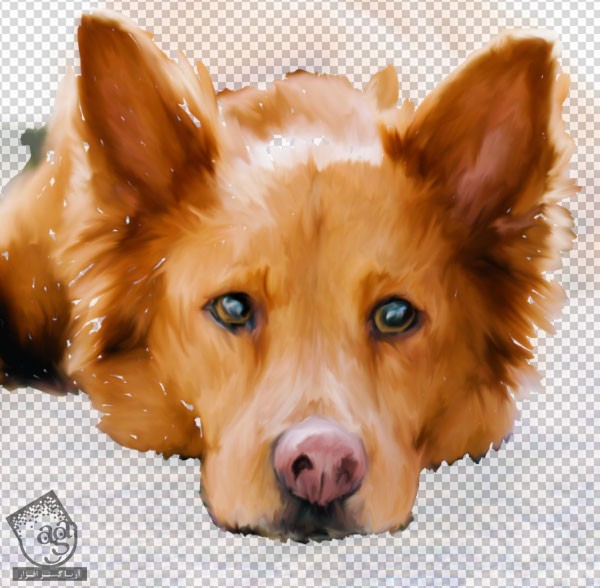 آموزش Photoshop : افکت تصویری نقاشی سگ – قسمت دوم