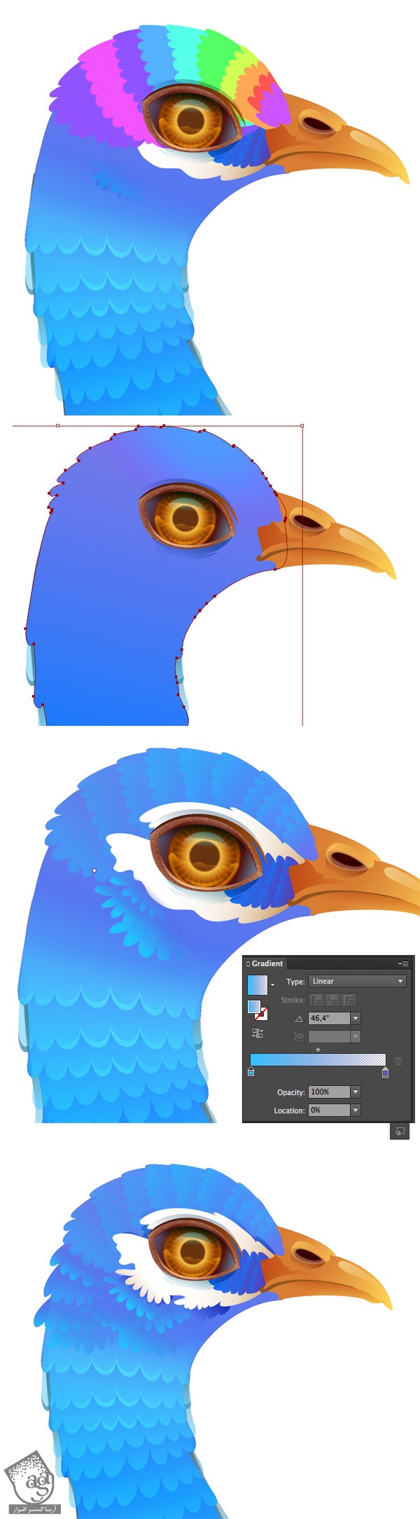 آموزش Illustrator : طراحی طاووس - قسمت اول