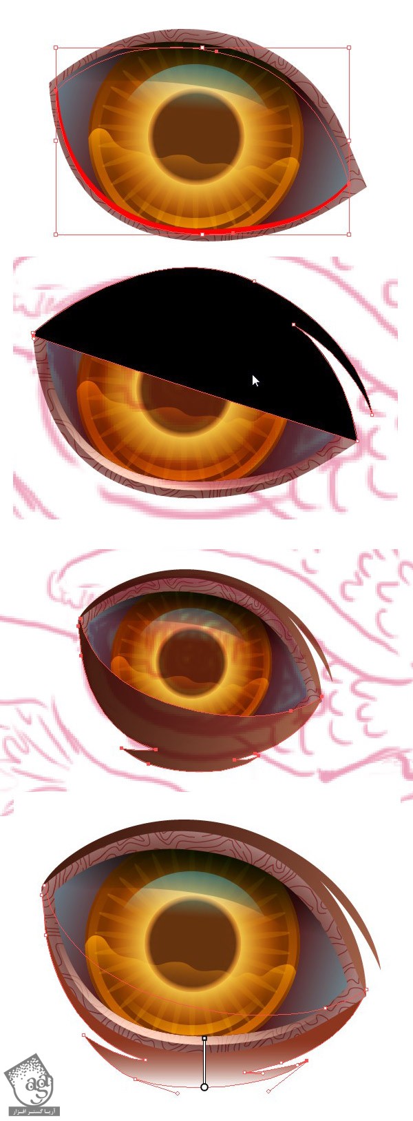 آموزش Illustrator : طراحی طاووس - قسمت اول