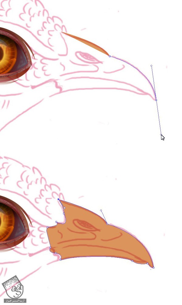 آموزش Illustrator : طراحی طاووس - قسمت اول