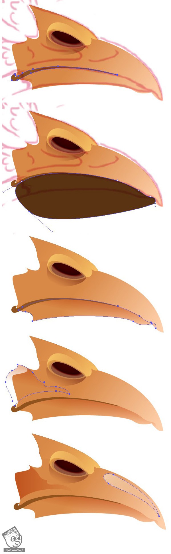 آموزش Illustrator : طراحی طاووس - قسمت اول