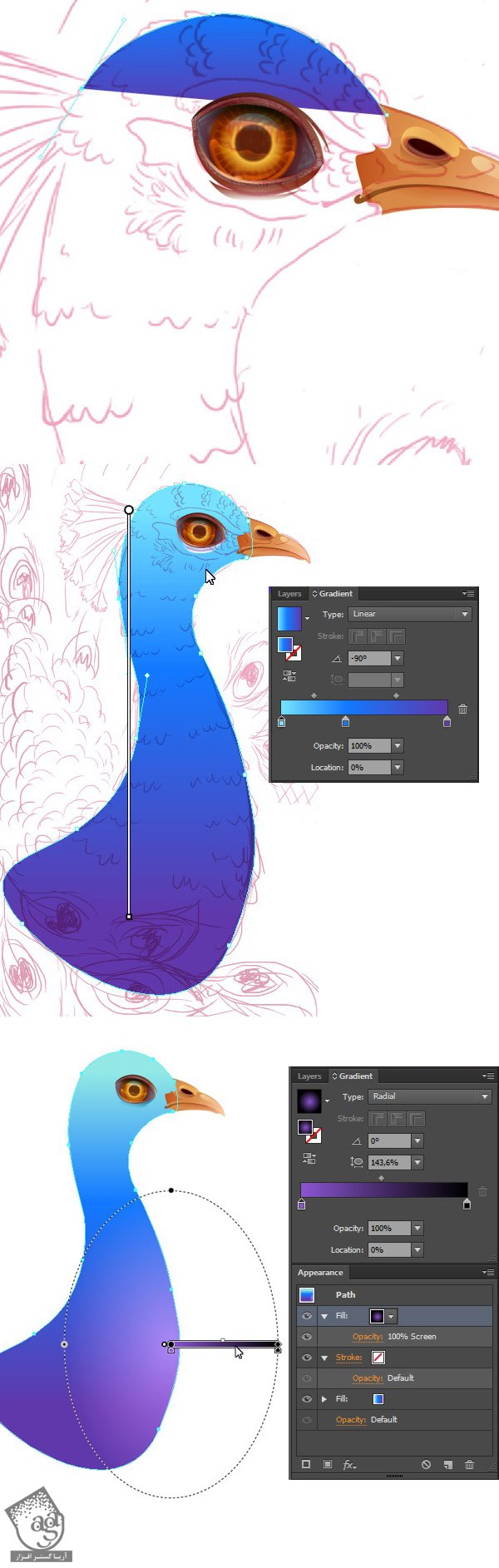 آموزش Illustrator : طراحی طاووس - قسمت اول
