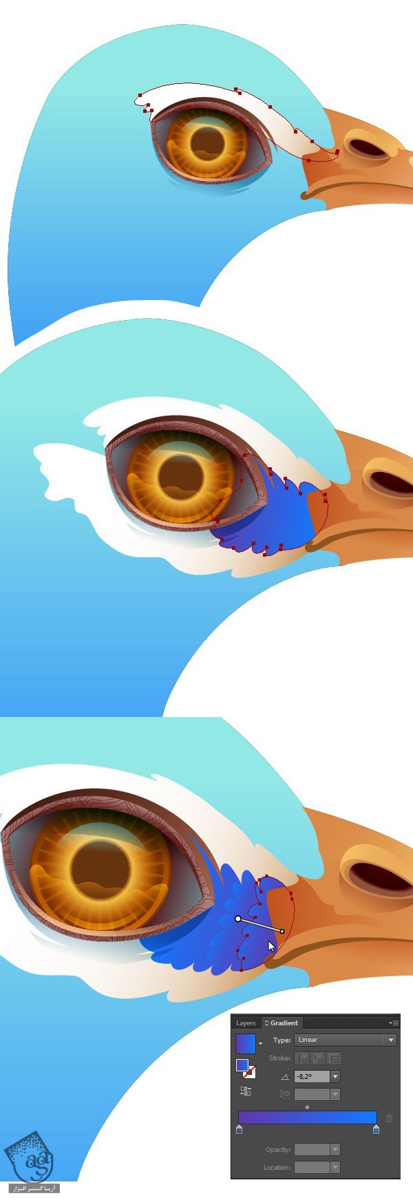 آموزش Illustrator : طراحی طاووس - قسمت اول