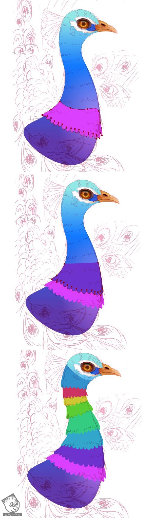 آموزش Illustrator : طراحی طاووس - قسمت اول