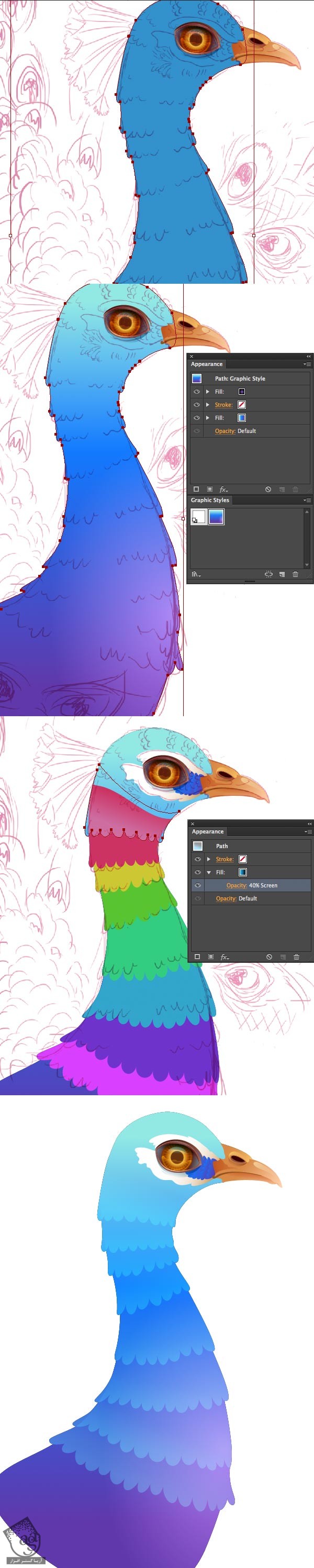 آموزش Illustrator : طراحی طاووس - قسمت اول