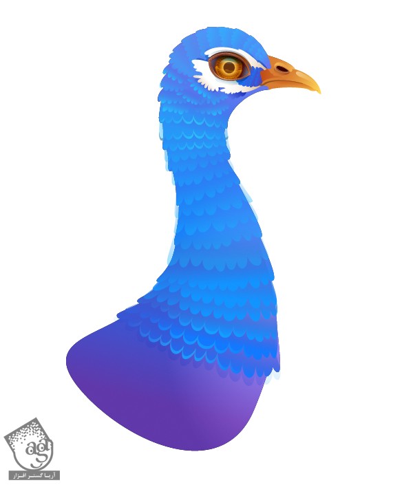 آموزش Illustrator : طراحی طاووس - قسمت اول