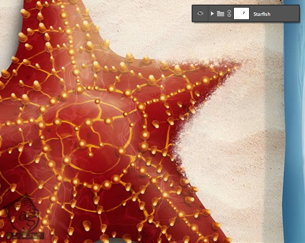  آموزش Photoshop : طراحی آیکن سه بعدی ستاره دریایی – قسمت دوم