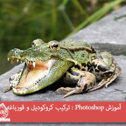 آموزش Photoshop : ترکیب کروکودیل و قورباغه