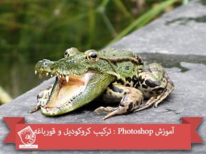 آموزش Photoshop : ترکیب کروکودیل و قورباغه