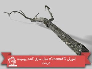 آموزش Cinema 4D : مدل سازی کنده پوسیده درخت