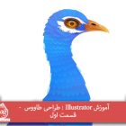 آموزش Illustrator : طراحی طاووس - قسمت اول