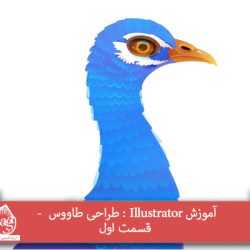 آموزش Illustrator : طراحی طاووس - قسمت اول