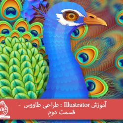 آموزش Illustrator : طراحی طاووس – قسمت دوم