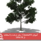 آموزش Cinema4D : رشد درخت با استفاده از DPit FX