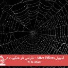 آموزش After Effects : طراحی تار عنکبوت در 3Ds Max