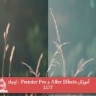 آموزش After Effects و Premier Pro : ایجاد LUT