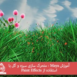 آموزش Maya : متحرک سازی سبزه و گل با استفاده از Paint Effects