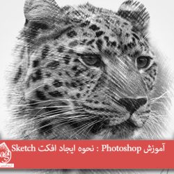 آموزش Photoshop : نحوه ایجاد افکت Sketch