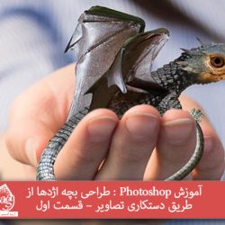 آموزش Photoshop : طراحی بچه اژدها از طریق دستکاری تصاویر – قسمت اول