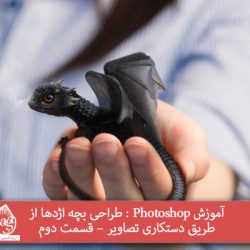 آموزش Photoshop : طراحی بچه اژدها از طریق دستکاری تصاویر – قسمت دوم