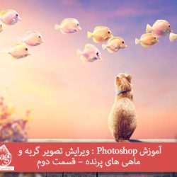 آموزش Photoshop : ویرایش تصویر گربه و ماهی های پرنده – قسمت دوم