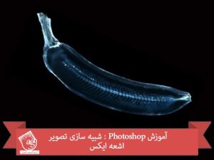 آموزش Photoshop : شبیه سازی تصویر اشعه ایکس