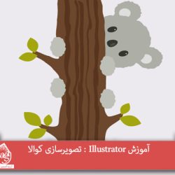 آموزش Illustrator : تصویرسازی کوالا